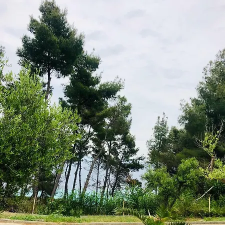 Aelia Sea View * Άφυτος