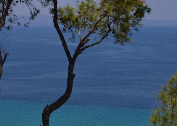 Апартаменты Aelia Sea View *