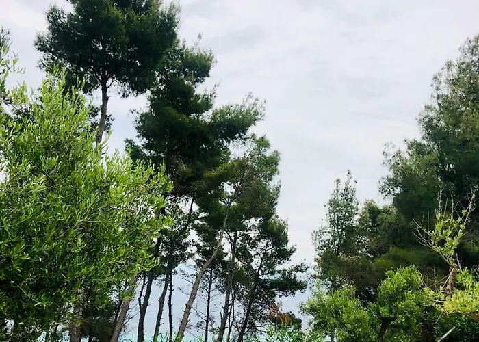 Aelia Sea View * Афитос